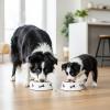 Fun Express Dog Dish Shaped Party Bowls – Plastic Dishes – Kids Birthday Party, Dog Gotcha and Party Supplies – Multicolor (Set of 2)