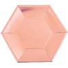 Fun Express Metallic Rose Gold Hexagon Paper Dinner Plates – Disposable Dinner Dessert Plates – Tableware Paper Plates for Birthday Party Wedding Disco Party Decorations – Party Supplies – 24 Pieces