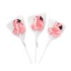Pink Flamingo Swirl Lollipop Suckers. (12 individually wrapped candies) Party Candy and Favor Supplies