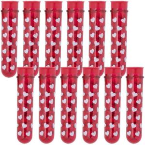 Fun Express Valentine Plastic Tube Favor Containers – BPA-Free, Perfect for Valentine’s Day Party Favors Sweet Treats and Gift Packaging – Ideal for Creative DIY Party Favors & Decorations – 12 Pieces