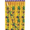 Fun Express Mardi Gras Pencils – Stationery – 24 Pieces
