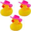Pink Cowboy Hat Rubber Ducks Kit Assortment May Vary