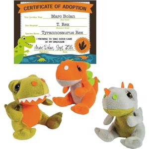 Fun Express Dinosaur Adoption Kit Assortments May Vary