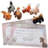 ADOPT A PONY KIT – Toys – 24 Pieces