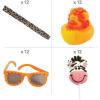 Fun Express Safari Party Favor Kit Assortment May Vary