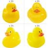 Yellow Rubber Duck Assortment Bulk 96 Pieces