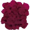 Fun Express Artificial Rose Petals (200 Pieces) Perfect for Wedding Decor, Flower Girls, Party and More (Burgundy)(Burgundy)