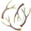 Fun Express Deer Antlers Resin Table Decorations 12 Pack – Realistic Faux Antler Decor for Forest Woodland Christmas Party | Rustic Wedding Centerpieces & Hunting Lodge Themed Events