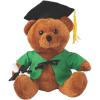 Fun Express Personalized Graduation Stuffed Bear – Green – Toys – 1 Piece
