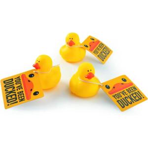 Fun Express You’ve Been Ducked Kit for 12 – Rubber Duckies
