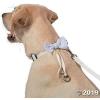 Dog Ring Bearer Ring Holder Collar and Bow Tie Leash for Wedding – 5 ft Leash with 25 Inch Collar That Shortens to 9 Inch