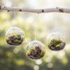 Fun Express – Small Round Hanging Globe for Wedding – Home Decor – Decorative Accessories – Vases – Wedding – 12 Pieces