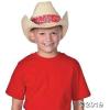 Fun Express Cowboy Hat Straw Cowgirl Hat Bulk 12 Pack – Western Party Decorations & Favors for Men Women | Rodeo Theme Birthday Parties, Country Events & Costume Accessories with Red Bandana Accent