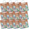 Fun Express Jesus Heals A Paralyzed Man 3D Sign Craft Kit – Makes 12- DIY Crafts for Kids and Sunday School Activities