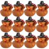 Fun Express Thanksgiving Turkey Rubber Ducks – 12 Pc