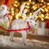 Animated Santa Sleigh & Reindeer Plastic Decoration – 38″ x 10″ x 16″ (1 Set) – Festive Light-Up Holiday Display for Christmas, Parties & Winter Celebrations