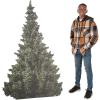 Fun Express 48″ Realistic Evergreen Tree Cardboard Cutout Stand-Up Decoration – Perfect for Holiday Parties Christmas Events or Winter Themed Décor – Sturdy Easy to Assemble Green Color – 1 Piece