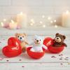 Fun Express – Plush Bear in Container for Valentine’s Day – Toys – Stuffed Farm & Woodland – 12 Pieces