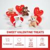 Fun Express – Plush Bear in Container for Valentine’s Day – Toys – Stuffed Farm & Woodland – 12 Pieces
