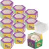 Fun Express Mardi Gras Hexagon Favor Boxes with Window, 12 Piece