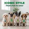 Fun Express St. Patrick’s Day Day Dog Tag Necklaces – Set of 12 – Party Supplies