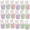 Fun Express 2 1/2″ x 6 1/2″ Pastel Easter Bunny Character Popcorn Boxes – 24 Pieces