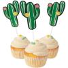 Fun Express – Cactus Party Food Picks (25pc) for Cinco de Mayo – Party Supplies – Serveware & Barware – Picks & Stirrers & Parasols – Cinco de Mayo – 25 Pieces