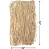 Natural Raffia Adult Hula Skirt – Great for Tiki, Luau and Tropical Parties