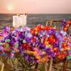 Fun Express Luau Ruffle Petal Flower Leis – 36-Piece Multicolor Polyester Set – 3 Ft. Each – Perfect for Luau and Parties