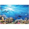 Fun Express Outback VBS Reef Backdrop – Vibrant Australian -Themed Decoration for Vacation Bible School Church Events Parties & More – Perfect for Themed Decorations & Photo Opportunities – 1 Piece