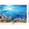 Fun Express Outback VBS Reef Backdrop – Vibrant Australian -Themed Decoration for Vacation Bible School Church Events Parties & More – Perfect for Themed Decorations & Photo Opportunities – 1 Piece