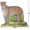 Fun Express Rainforest Leopard Stand UP – Party Decor – VBS Vacation Bible School Supplies/Decor – 1 Piece