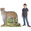 Fun Express Rainforest Leopard Stand UP – Party Decor – VBS Vacation Bible School Supplies/Decor – 1 Piece