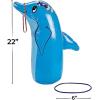 Inflatable Dolphin Ring Toss Game, Vacation Bible School 2024
