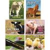 Fun Express Barnyard Poster Set – Educational and Learning Activities for Kids – VBS Vacation Bible School Supplies/Decor – 6 Pieces