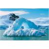 Fun Express Wild Encounters Arctic Backdrop – Party Decor – VBS Vacation Bible School Supplies/Decor – 3 Pieces