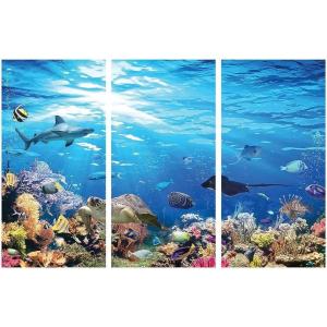 Fun Express Outback VBS Reef Backdrop – Vibrant Australian -Themed Decoration for Vacation Bible School Church Events Parties & More – Perfect for Themed Decorations & Photo Opportunities – 1 Piece