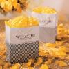 Fun Express Nautical Welcome to Our Wedding Gift Bags with Tags – 12 Pack – Wedding Party Supplies
