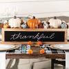 Fun Express White Craft Pumpkin – 5 inch – DIY Halloween and Fall Home Decor
