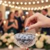 Jordan Almonds Candy – Silver Coated Almonds for Weddings, Candy Buffets & Party Favors, 1 lb Bag