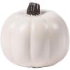 Fun Express White Craft Pumpkin – 5 inch – DIY Halloween and Fall Home Decor