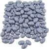 Jordan Almonds Candy – Silver Coated Almonds for Weddings, Candy Buffets & Party Favors, 1 lb Bag