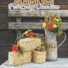 Fun Express Mini Hay Bales for Decoration – Natural Straw Bale 5″ Small Hay Bales for Fall Halloween Decor | Perfect for Table Centerpieces, Autumn Crafts & Seasonal DIY Projects – 1 Piece (Pack of 4)(5″ x 2 1/2″ x 2 1/2″ (Pack of 4))