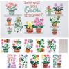 What Will You Grow Classroom Bulletin Board Set – 11 Piece