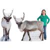 Fun Express Christmas Reindeer Cardboard Cutout Stand-Ups – 2 Pc
