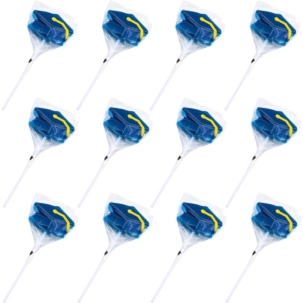 image:imageFun Express Blue Mortarboard Graduation Lollipops Bulk 12 Pack Individually Wrapped Suckers Party Favors for Kids amp Guests Swirl Candy for Goodie Bags Centerpieces amp Celebration Treats