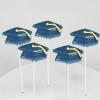 Fun Express Blue Mortarboard Graduation Lollipops Bulk 12 Pack – Individually Wrapped Suckers Party Favors for Kids & Guests | Swirl Candy for Goodie Bags, Centerpieces & Celebration Treats