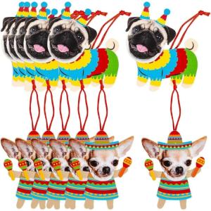Fun Express Silly Fiesta Animal Ornament Foam Craft Kit – Makes 12