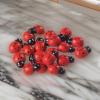Fun Express Adhesive Wooden Ladybugs (50Pc) – Crafts for Kids and Fun Home Activities – VBS Vacation Bible School Supplies/Decor
