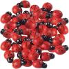 Fun Express Adhesive Wooden Ladybugs (50Pc) – Crafts for Kids and Fun Home Activities – VBS Vacation Bible School Supplies/Decor